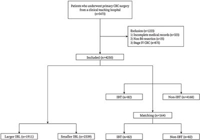 The Effect of the Intraoperative Blood Loss and Intraoperative Blood Transfusion on the Short-Term Outcomes and Prognosis of Colorectal Cancer: A Propensity Score Matching Analysis